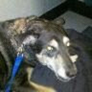 Meet your Posher, Derek